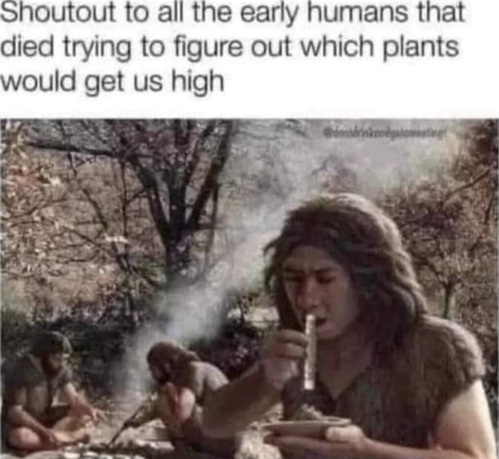 houtout to all the early humans that died trying to figure out which plants would get us high