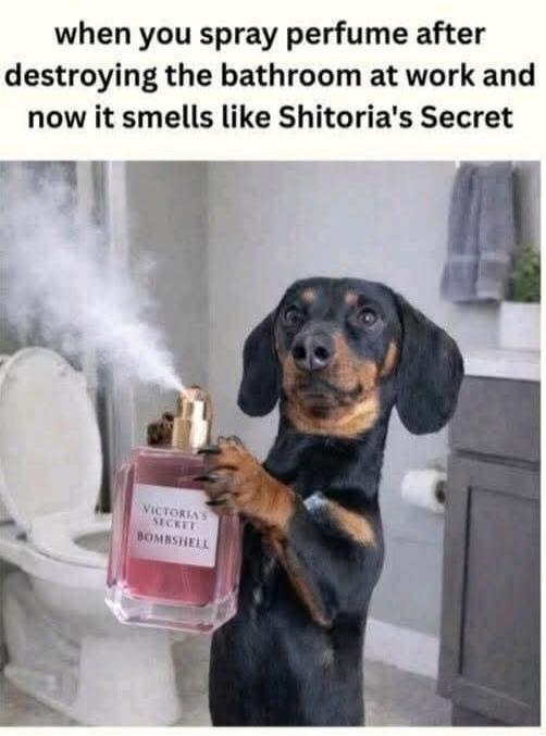 when you spray perfume after destroying the bathroom at work and now it smells like Shitoria's Secret. VICTORIA'S SECRET BOMBSHELL
