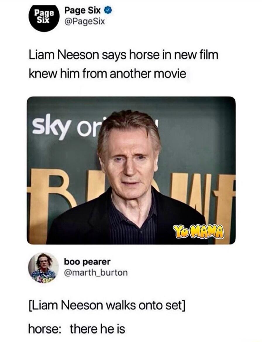 Page Six reports that Liam Neeson says a horse in his new film knew him from another movie. A user named boo pearer then adds a humorous comment: '[Liam Neeson walks onto set] horse: there he is'. There is also a 'YO MAMA' watermark on the image.