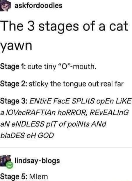 D askfordoodles The 3 stages of a cat yawn Stage 1 cute tiny O mouth Stage 2 sticky the tongue out real far Stage 3 ENtirE FacE SPLItS opEn LIKE a IOVecRAFTIAn hoRROR REVEALING aN eNDLESS plT of poiNts ANd blaDES oH GOD lindsay blogs Stage 5 Mlem