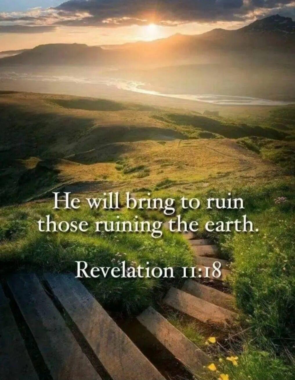 He will bring to ruin those ruining the earth. Revelation 11:18