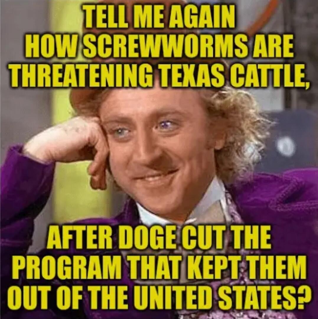 TELL ME AGAIN HOW SCREWWORMS ARE THREATENING TEXAS CATTLE, AFTER DOGE CUT THE PROGRAM THAT KEPT THEM OUT OF THE UNITED STATES?