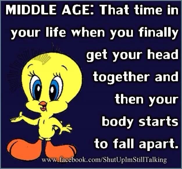 MIDDLE AGE: That time in your life when you finally get your head together and then your body starts to fall apart.