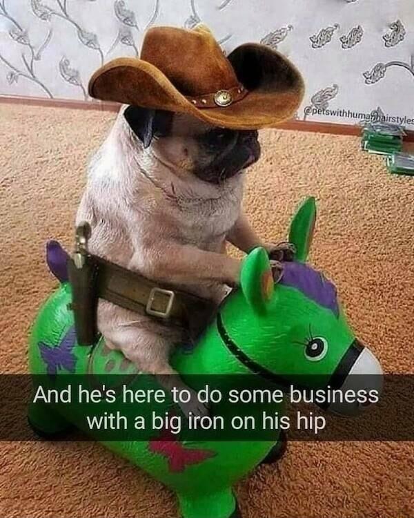 And hes here to do some business with a big iron on his hip