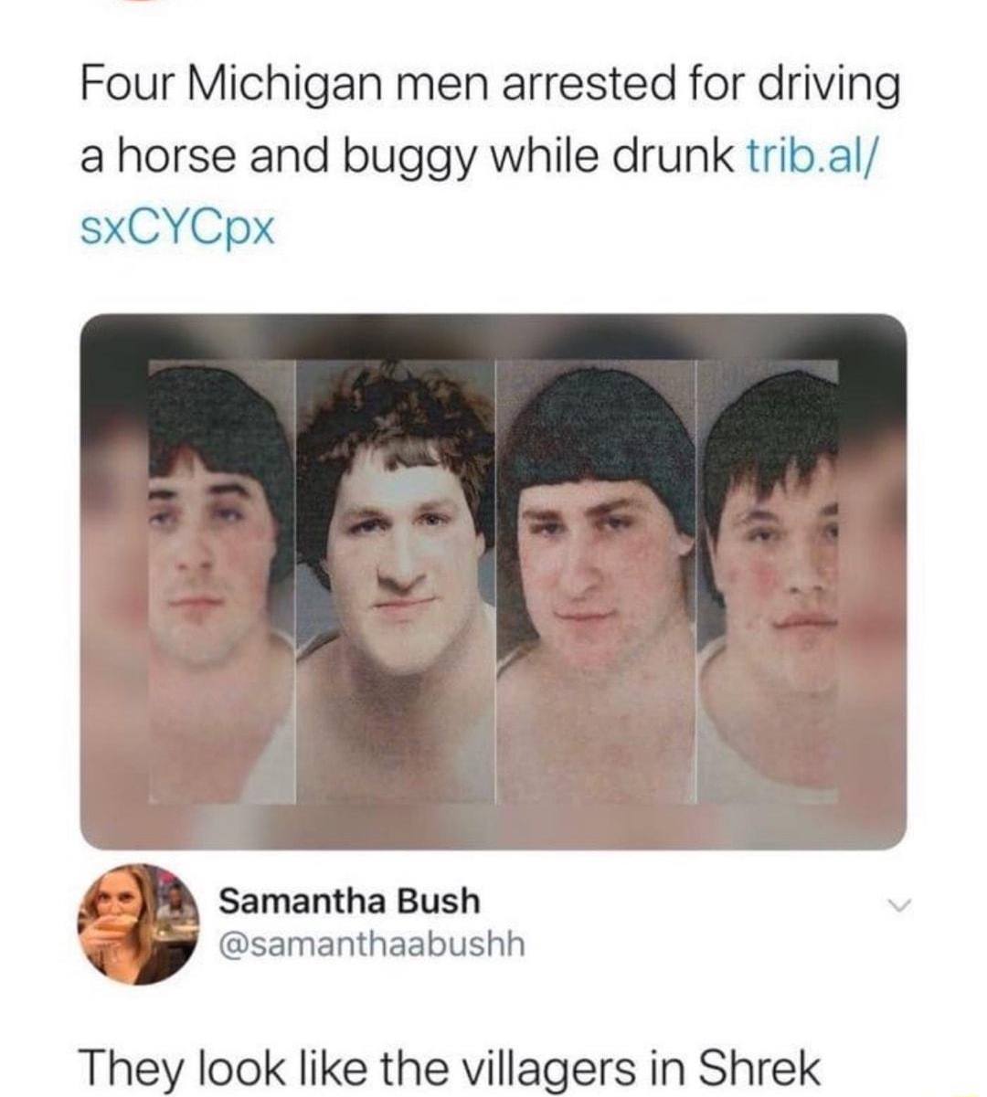 i New York Post Ly nypost Four Michigan men arrested for driving a horse and buggy while drunk tribal sxCYCpx Samantha Bush samanthaabushh They look like the villagers in Shrek