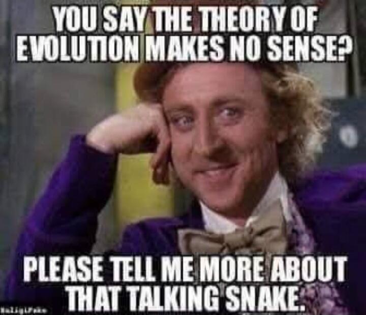 YOU SAY THE THEORY OF EVOLUTION MAKES NO SENSE? PLEASE TELL ME MORE ABOUT THAT TALKING SNAKE.