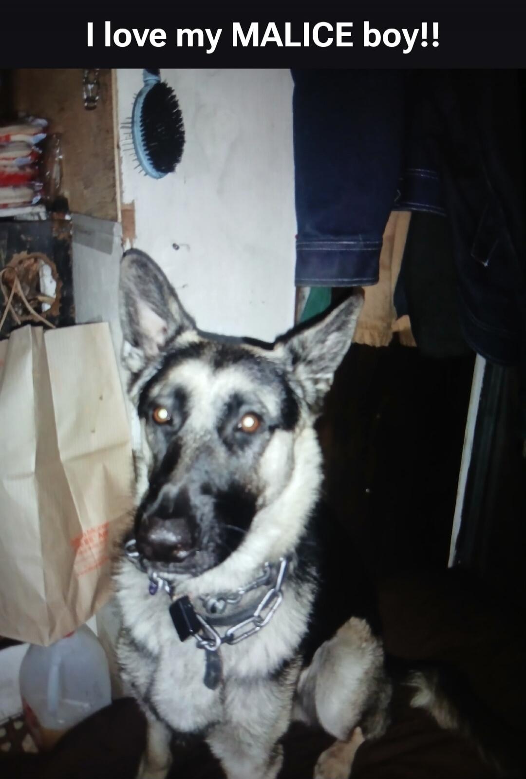 I love my MALICE boy!!