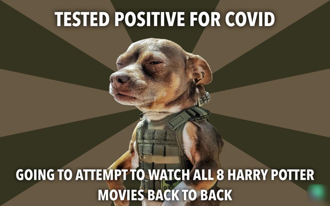 TESTED POSITIVE FOR COVID o eh o Yn i3 9 0 WATCH ALL 8 HARRY POTTER MOVIES BAC BAClo BACK