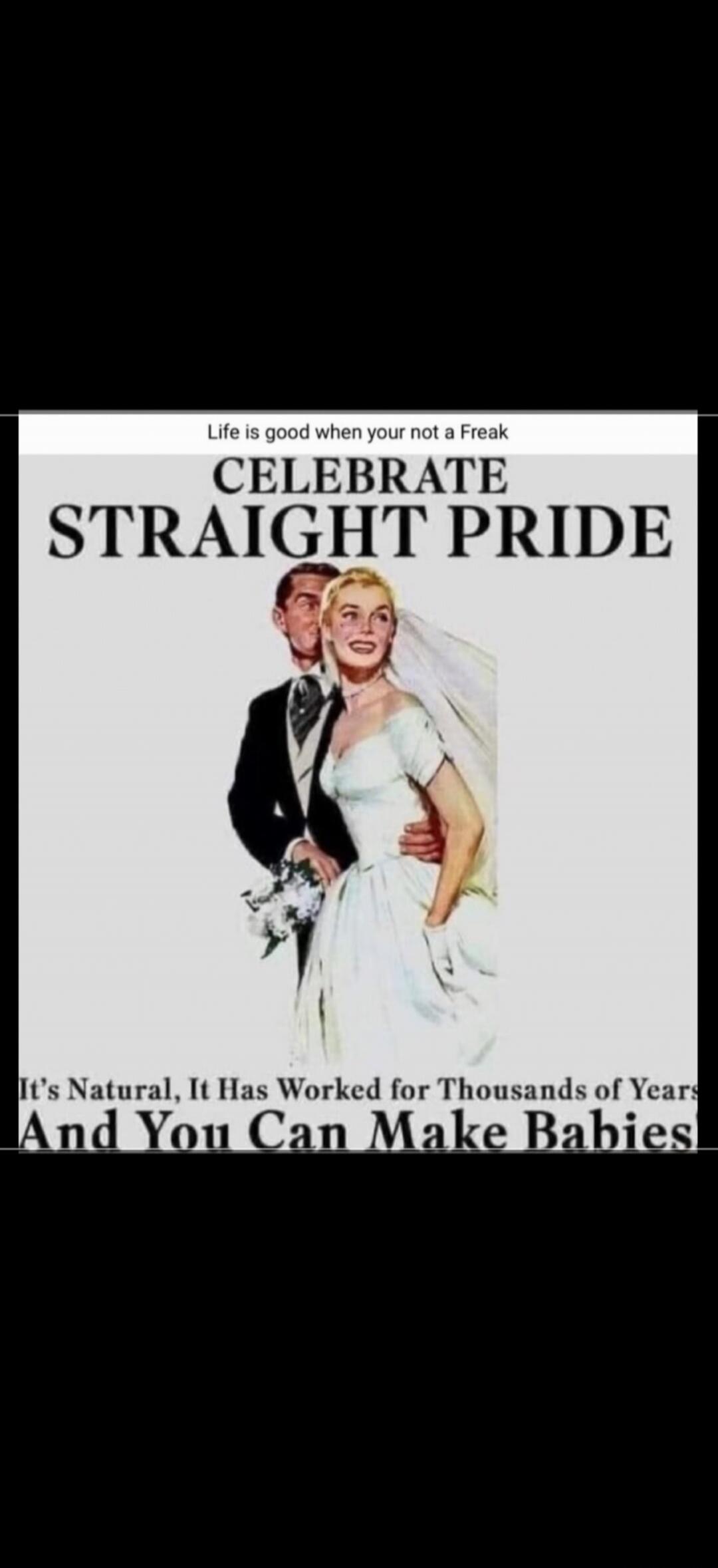 Life is good when your not a Freak
CELEBRATE STRAIGHT PRIDE
It's Natural, It Has Worked for Thousands of Years
And You Can Make Babies