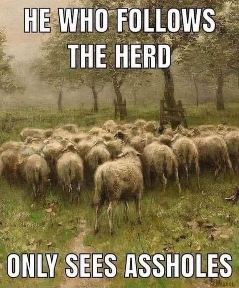 HE WHO FOLLOWS THE HERD ONLY SEES ASSHOLES