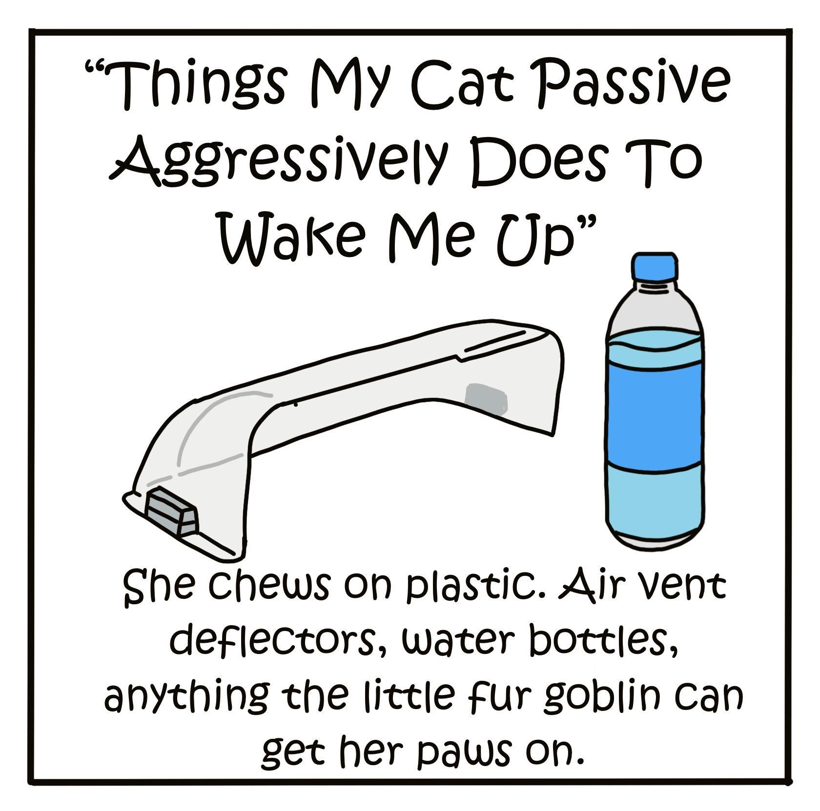 Things My Cat Passive Aggressively Does To Wake Me Up She Chews on plastiC Air vent deflectors water bottles anything the little fur goblin can get her paws on