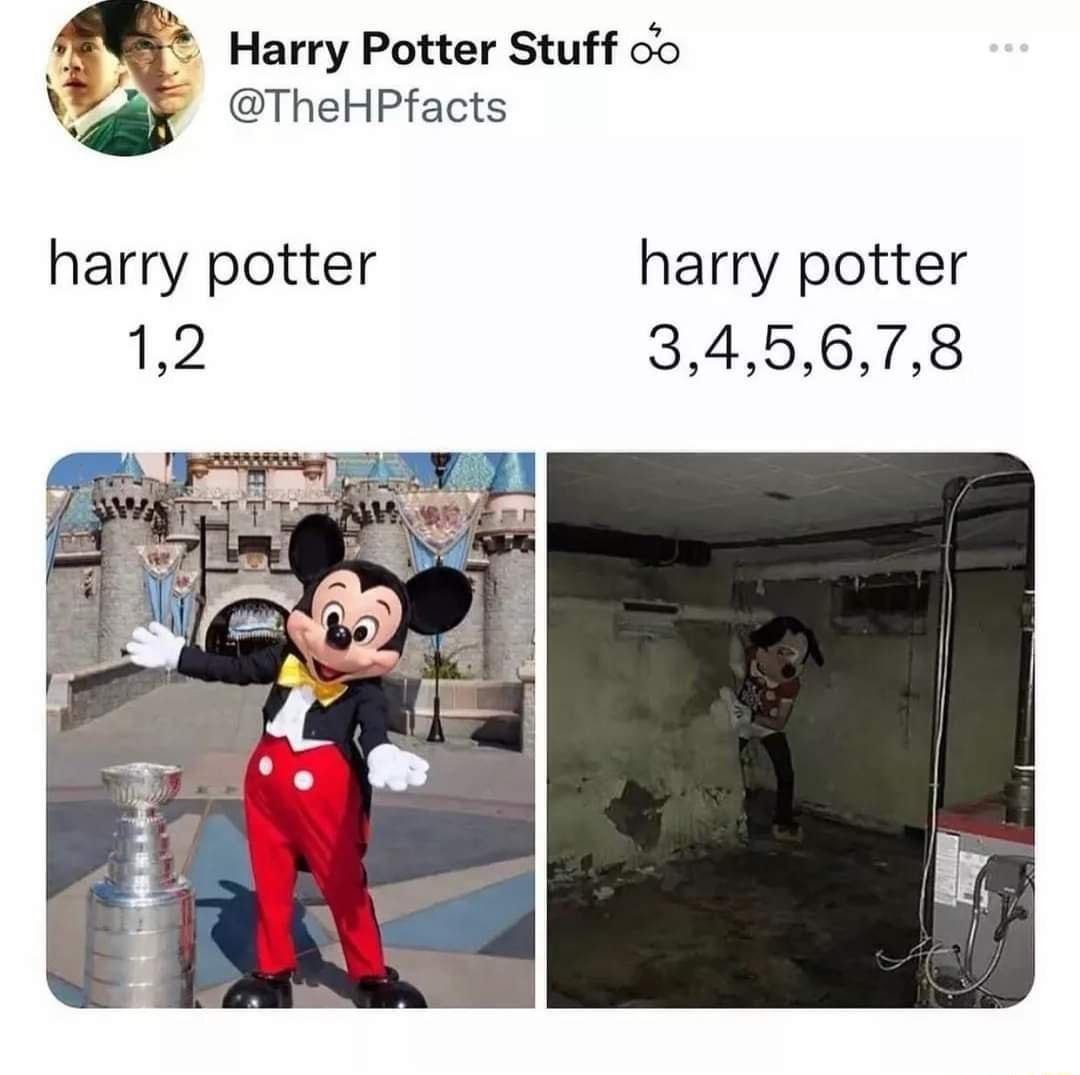 Sh Harry Potter Stuff co TheHPfacts harry potter harry potter 12 345678