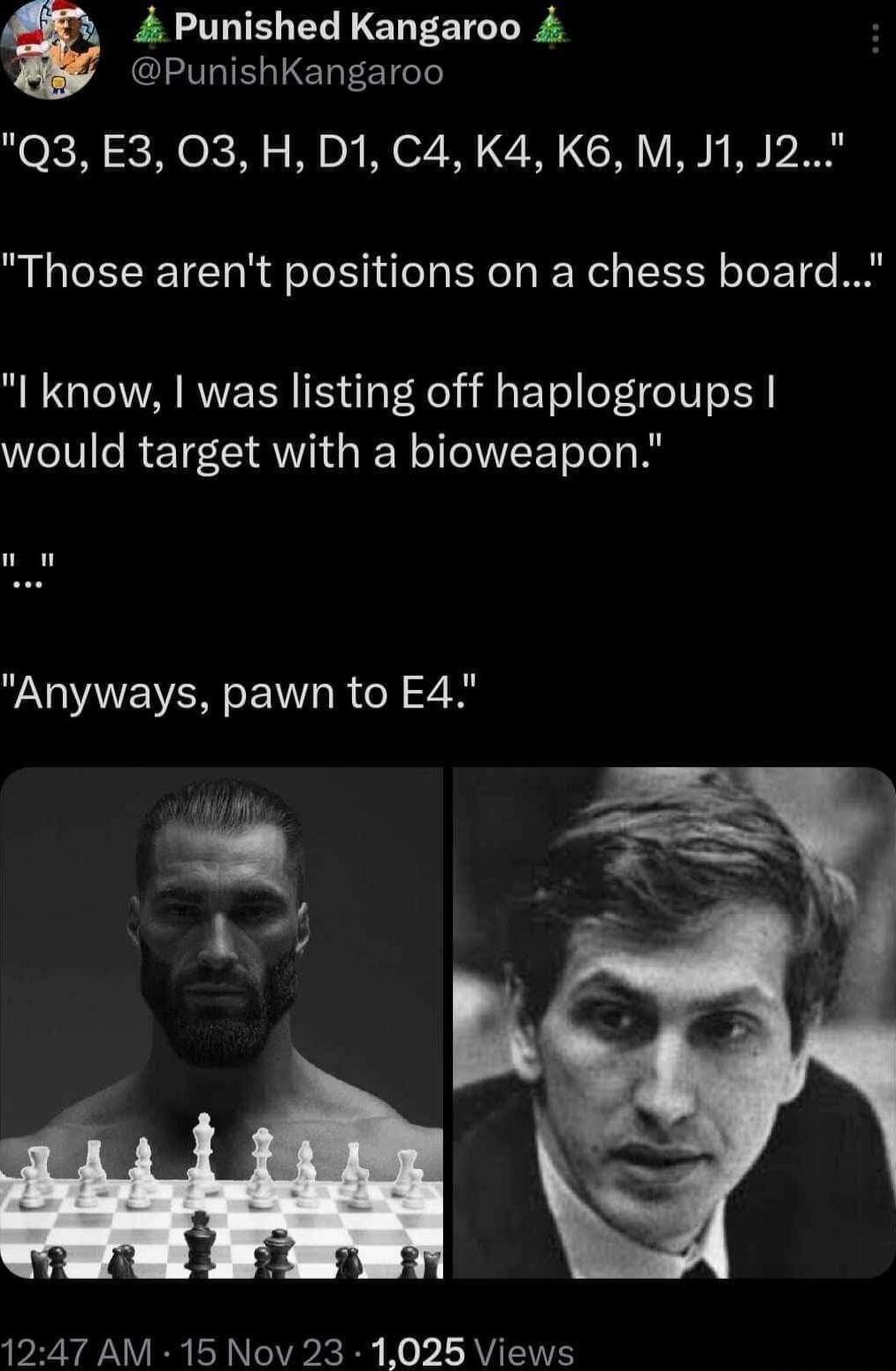 4 Punished Kangaroo PunishKangaroo Q3 E3 03 H D1 C4 K4 K6 M J1 J2 Those arent positions on a chess board I know was listing off haplogroups would target with a bioweapon o Anyways pawn to E4 iy e an 1247 AM 15 Nov 23 1025 Views