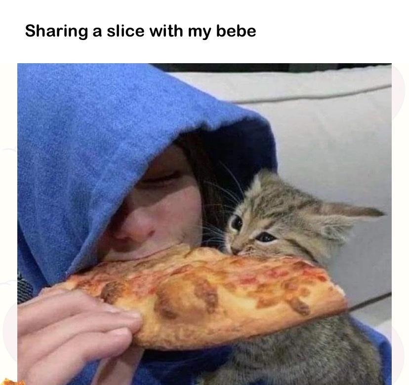 Sharing a slice with my bebe the_pizcat