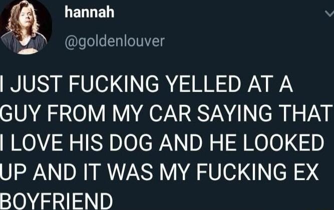 LELLED v goldenlouver JUST FUCKING YELLED AT A GUY FROM MY CAR SAYING THAT LOVE HIS DOG AND HE LOOKED UP AND IT WAS MY FUCKING EX 0712