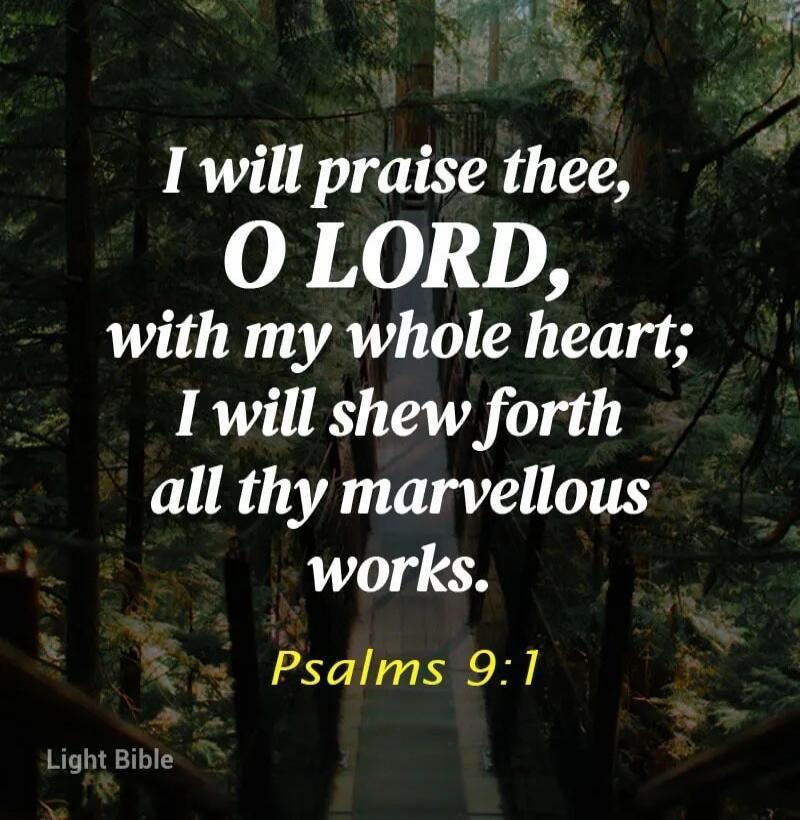 I will praise thee, O LORD, with my whole heart; I will shew forth all thy marvellous works. Psalms 9:1 Light Bible