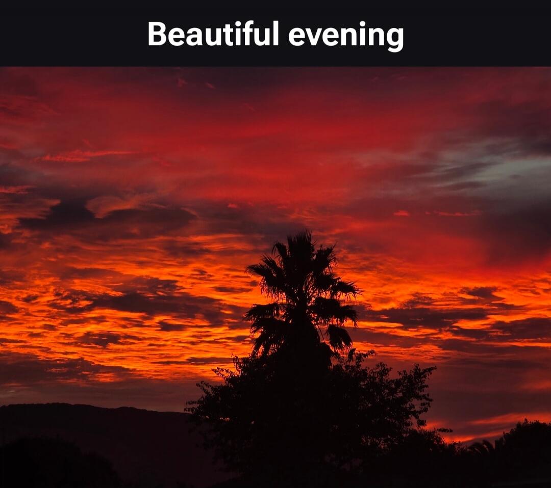 Beautiful evening