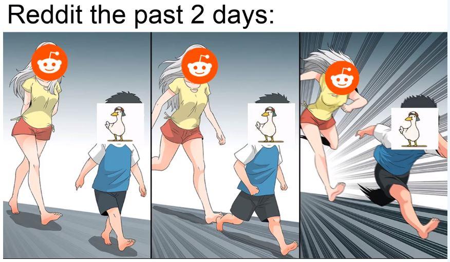 Reddit the past 2 days