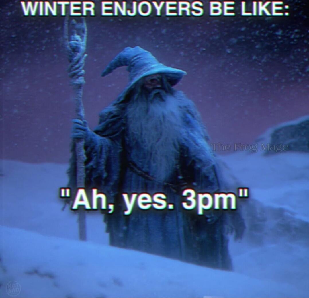 WINTER ENJOYERS BE LIKE: 
