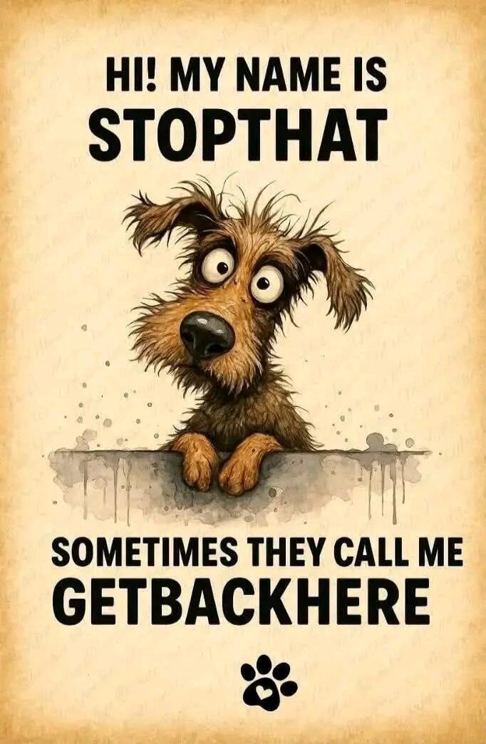 HI! MY NAME IS STOPTHAT SOMETIMES THEY CALL ME GETBACKHERE