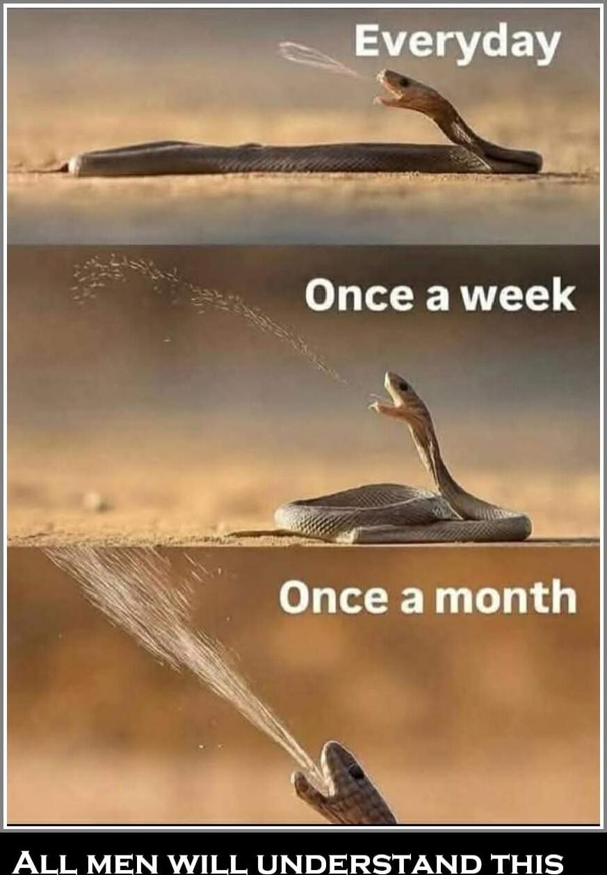 Everyday
Once a week
Once a month
ALL MEN WILL UNDERSTAND THIS