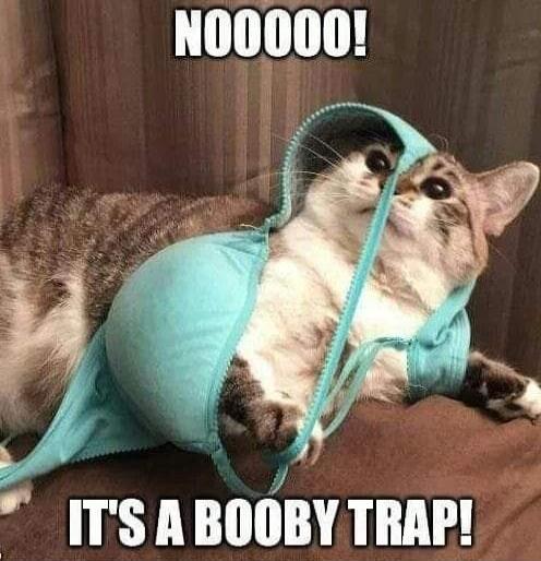 NOOOOO! IT'S A BOOBY TRAP!
