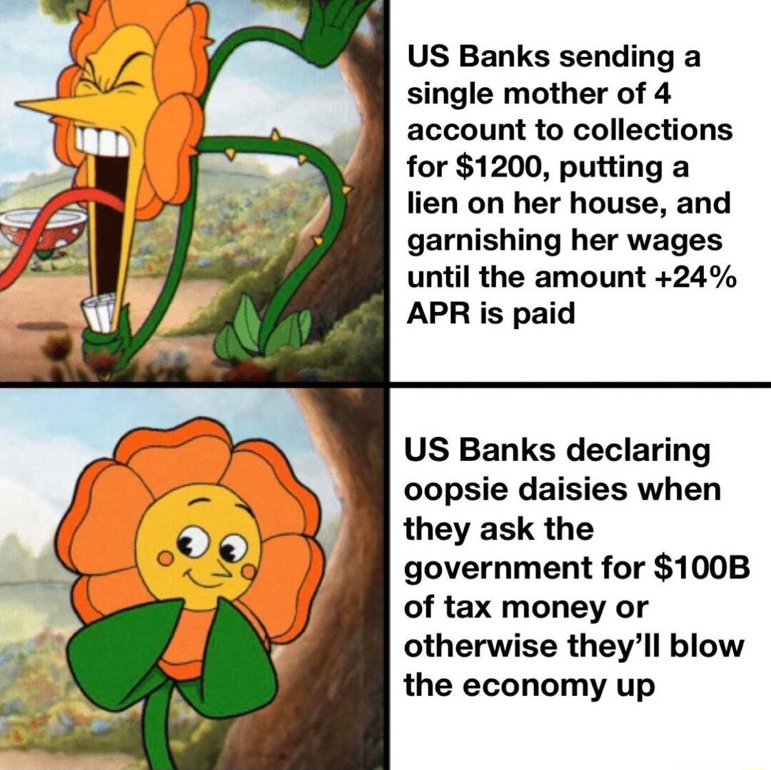 US Banks sending a single mother of 4 account to collections for 1200 putting a lien on her house and garnishing her wages until the amount 24 APR is paid US Banks declaring oopsie daisies when they ask the government for 100B of tax money or otherwise theyll blow the economy up