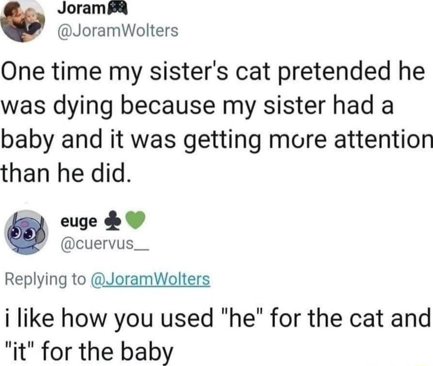 JoramFR JoramWolters One time my sisters cat pretended he was dying because my sister had a baby and it was getting more attention than he did euge W cuervus__ Replying to JoramWolters i like how you used he for the cat and it for the baby