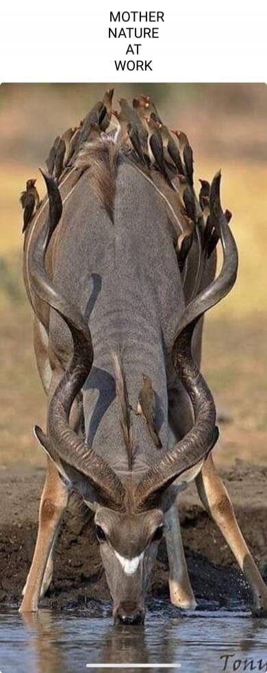 MOTHER NATURE AT WORK