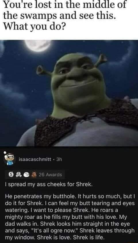 Youe lost in the middle o the swamps and see this What you do schmitt 6ae s spread my ass cheeks for Shrek He penetrates my butthole It hurts so much but do it for Shrek can feel my butt tearing and eyes watering want to please Shrek He roars a mighty roar as he fills my butt with his love My dad walks in Shrek looks him straight in the eye and says Its all ogre now Shrek leaves through my window 