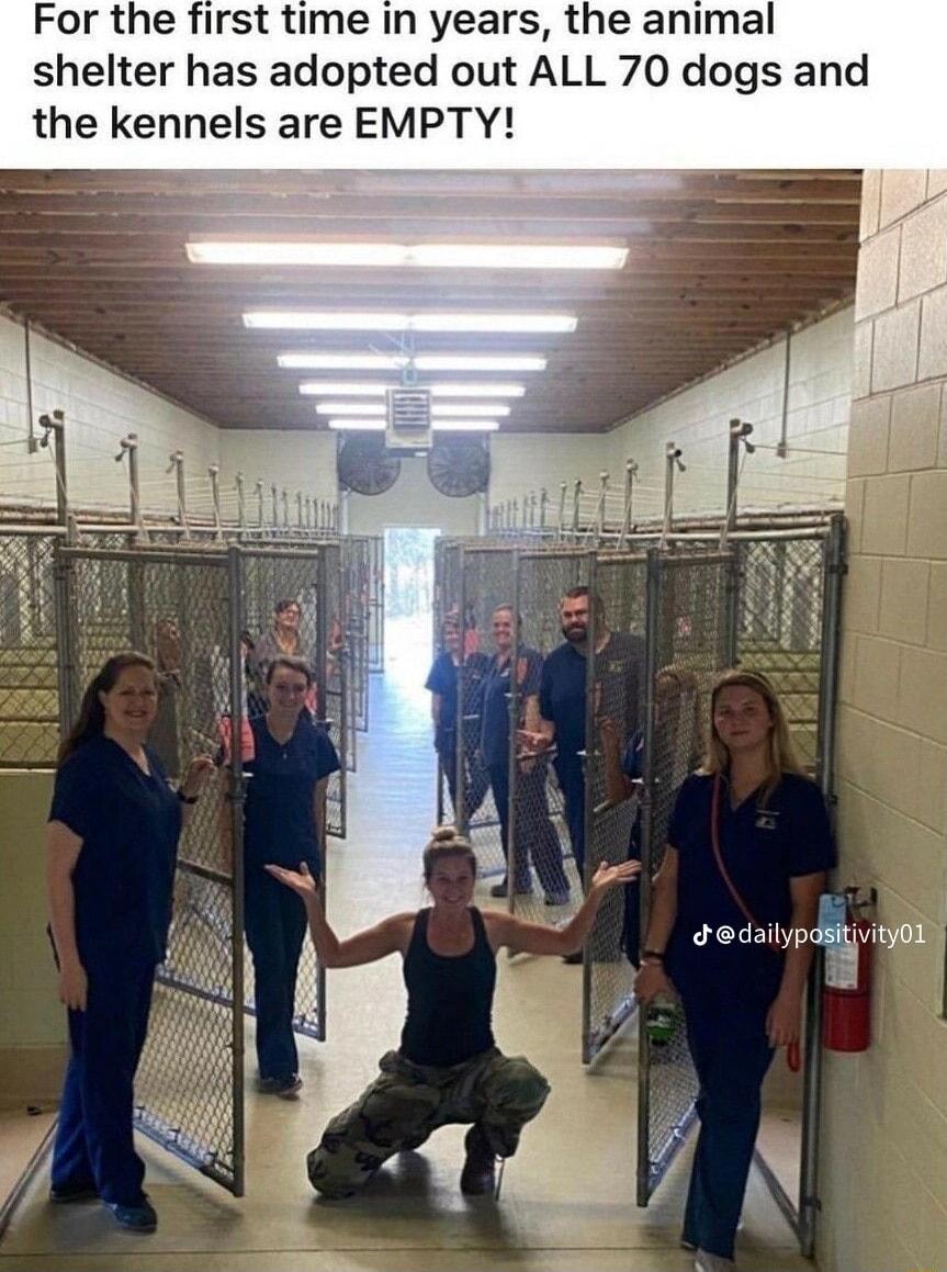 For the first time in years the animal shelter has adopted out ALL 70 dogs and the kennels are EMPTY