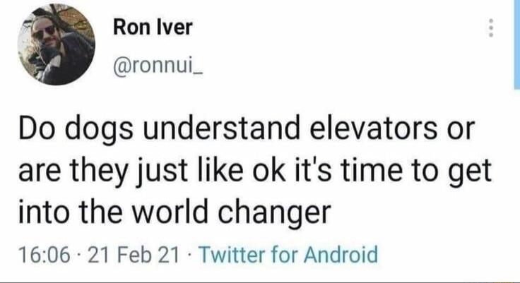 Ron Iver ronnui_ Do dogs understand elevators or are they just like ok its time to get into the world changer 1606 21 Feb 21 Twitter for Android