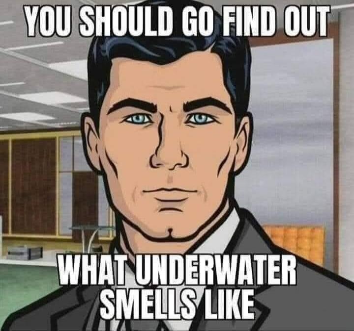 YOU SHOULD GO FIND OUT WHAT UNDERWATER SMELLS LIKE