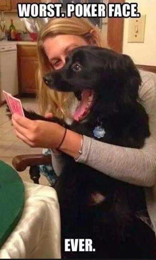 WORST. POKER FACE. EVER.