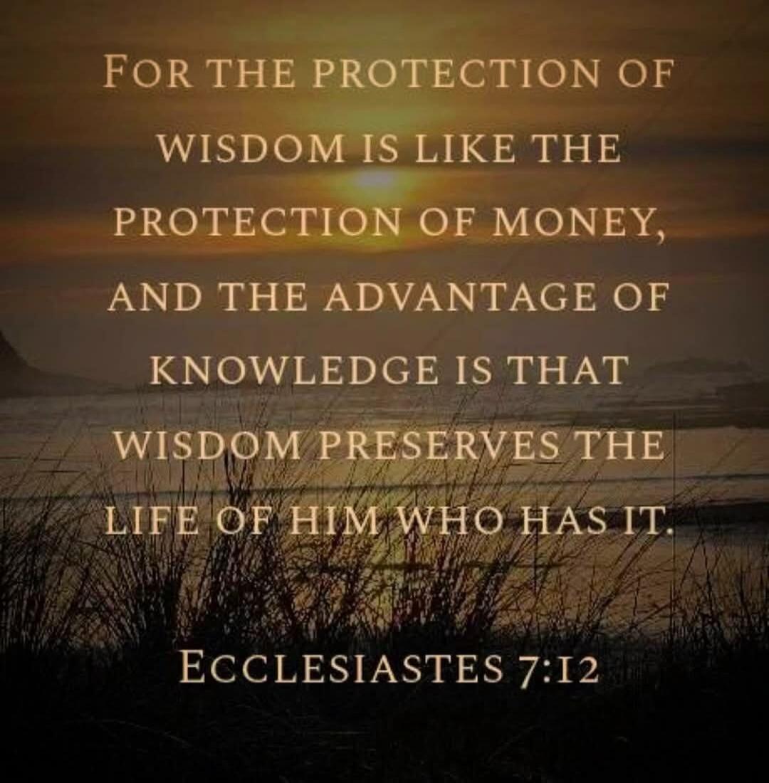 FOR THE PROTECTION OF WISDOM IS LIKE THE PROTECTION OF MONEY, AND THE ADVANTAGE OF KNOWLEDGE IS THAT WISDOM PRESERVES THE LIFE OF HIM WHO HAS IT. ECCLESIASTES 7:12