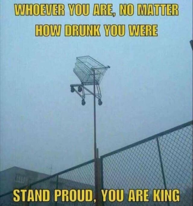 WHOEVER YOU ARE, NO MATTER HOW DRUNK YOU WERE STAND PROUD, YOU ARE KING