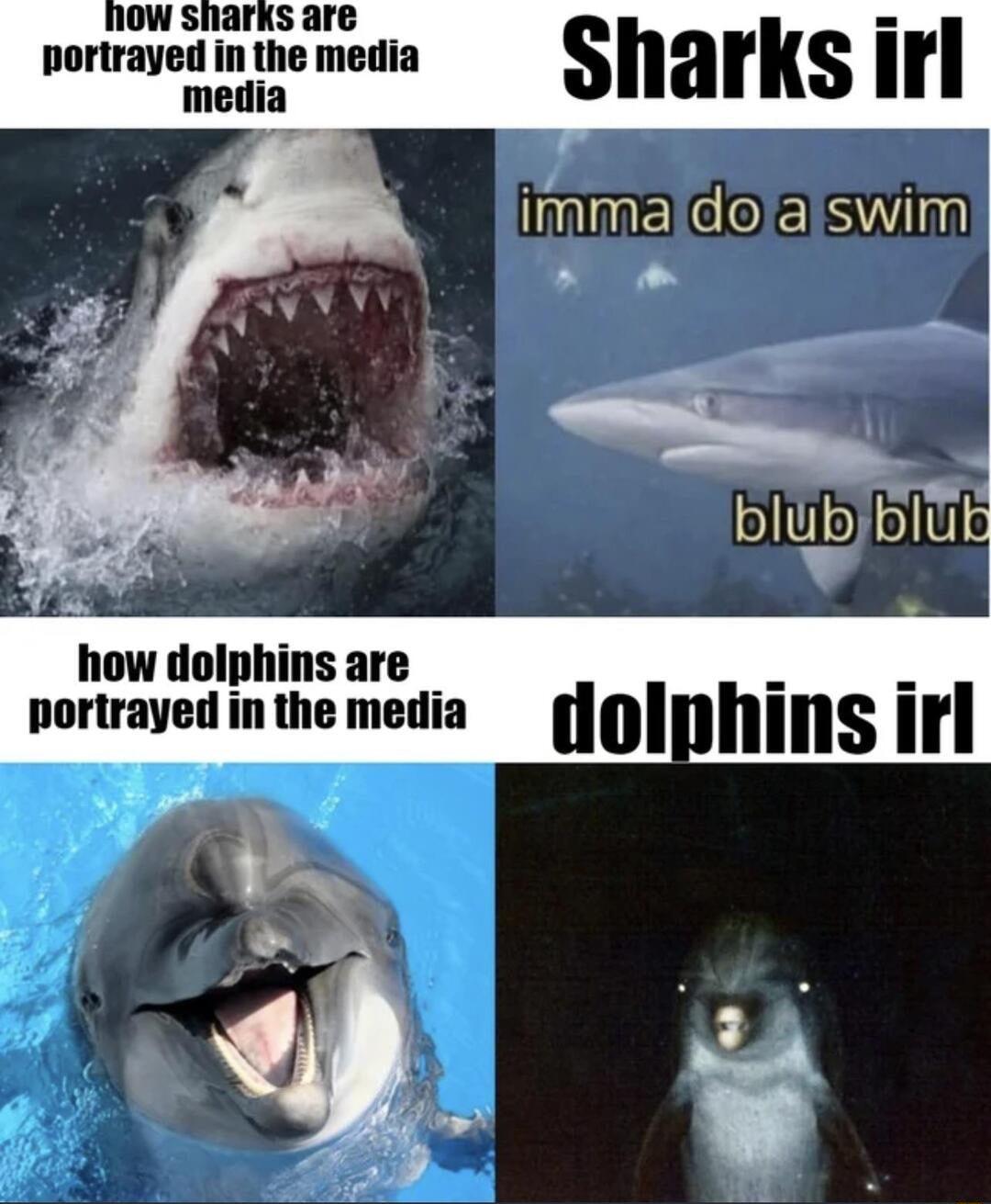 uonmal el ma mallll snarks i MMENCOE S how dolphins are nortrayed inthe media gl