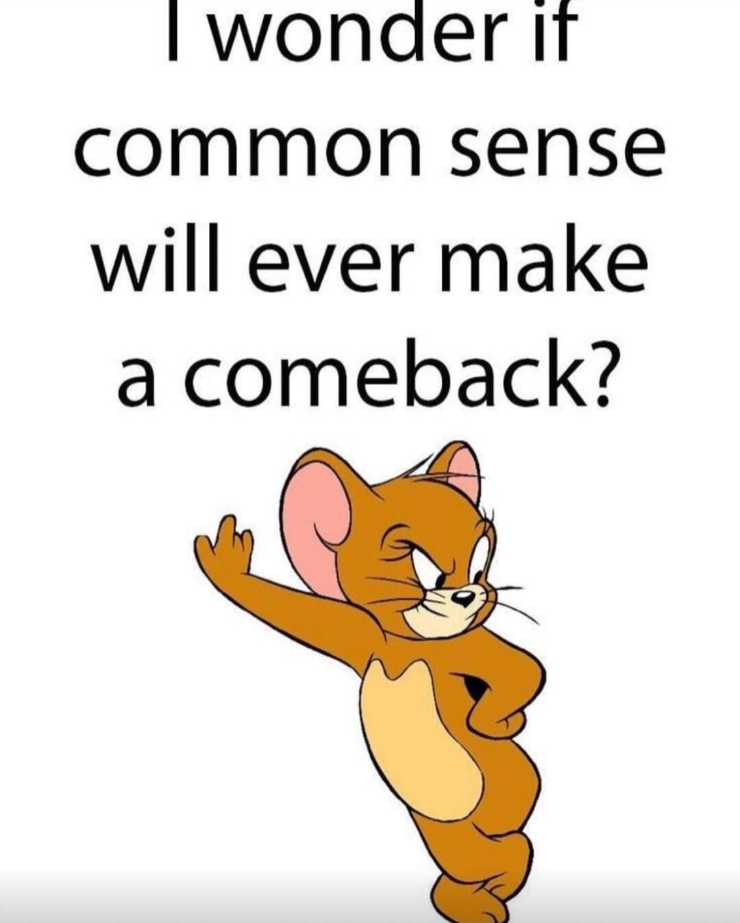 I wonder if common sense will ever make a comeback?