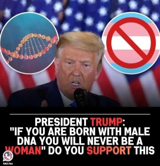 PRESIDENT TRUMP: 