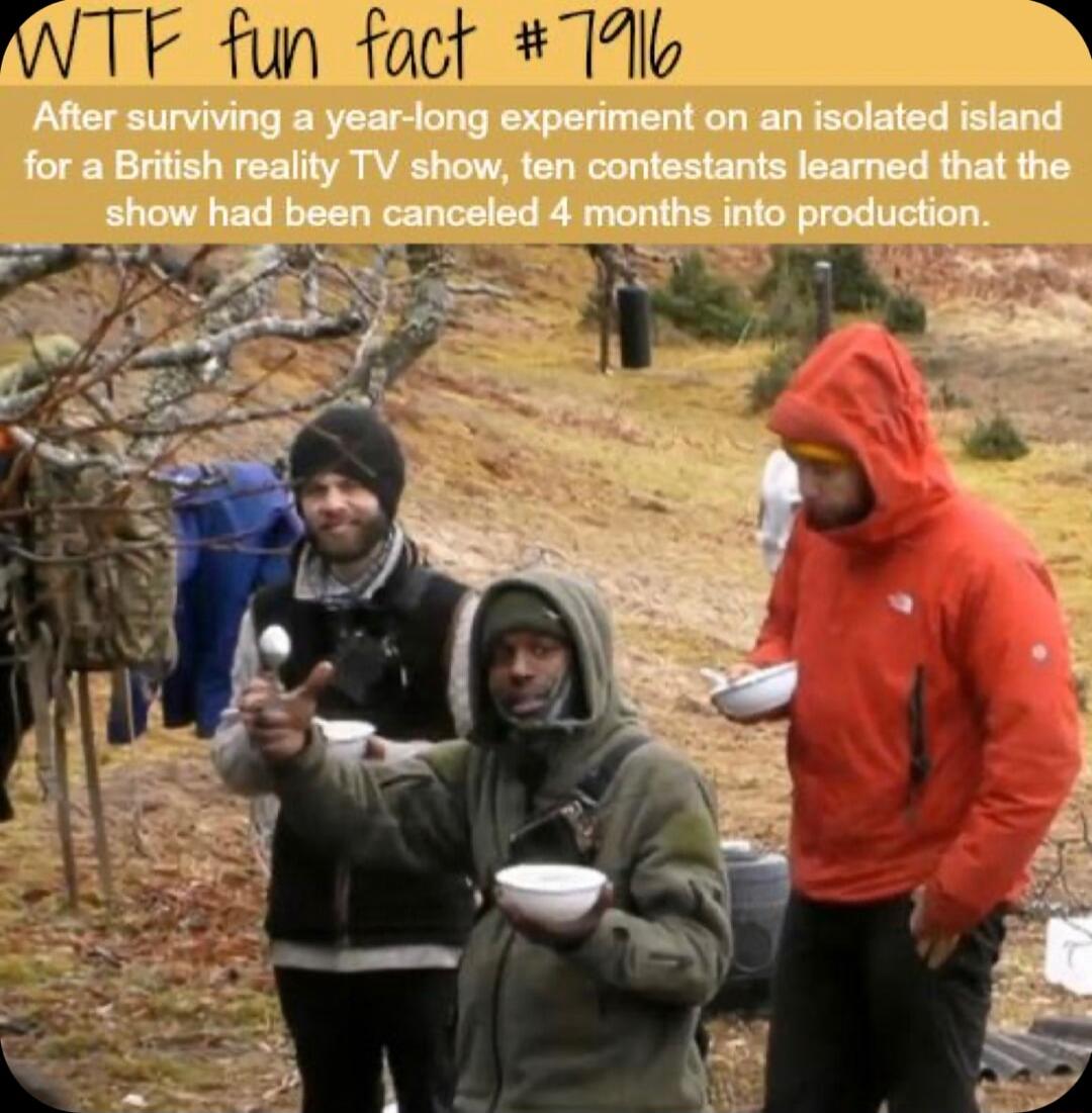 WTF fun fact 1 i