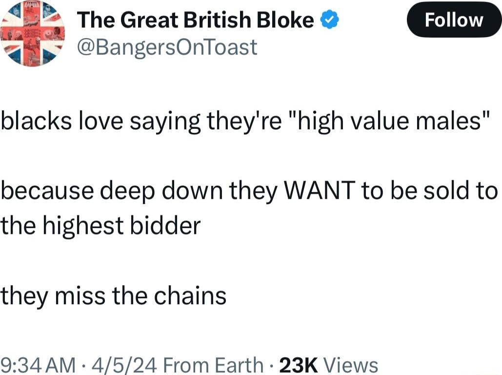 The Great British Bloke p BangersOnToast blacks love saying theyre high value males because deep down they WANT to be sold to the highest bidder they miss the chains 934 AM 4524 From Earth 23K Views