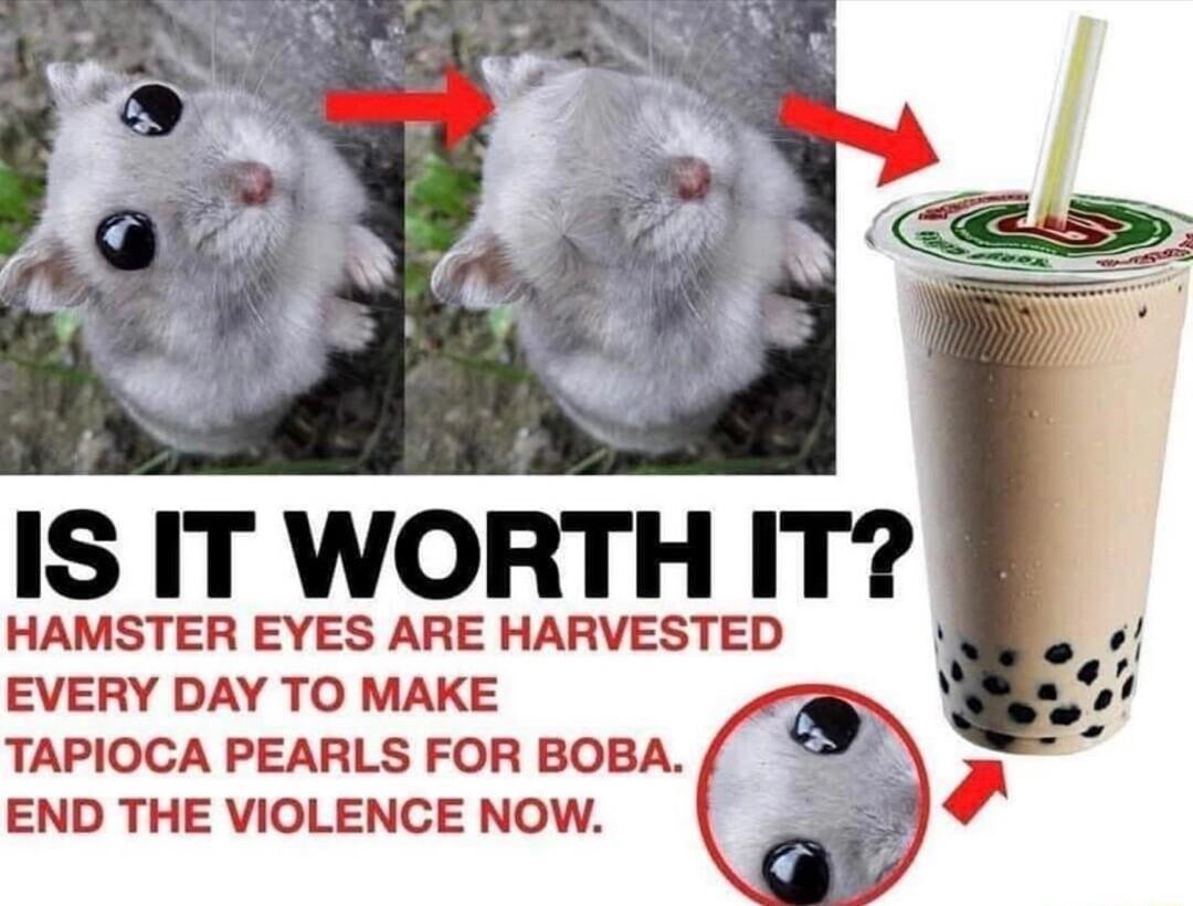 IS IT WORTH IT HAMSTER EYES ARE HARVESTED EVERY DAY TO MAKE TAPIOCA PEARLS FOR BOBA END THE VIOLENCE NOW G