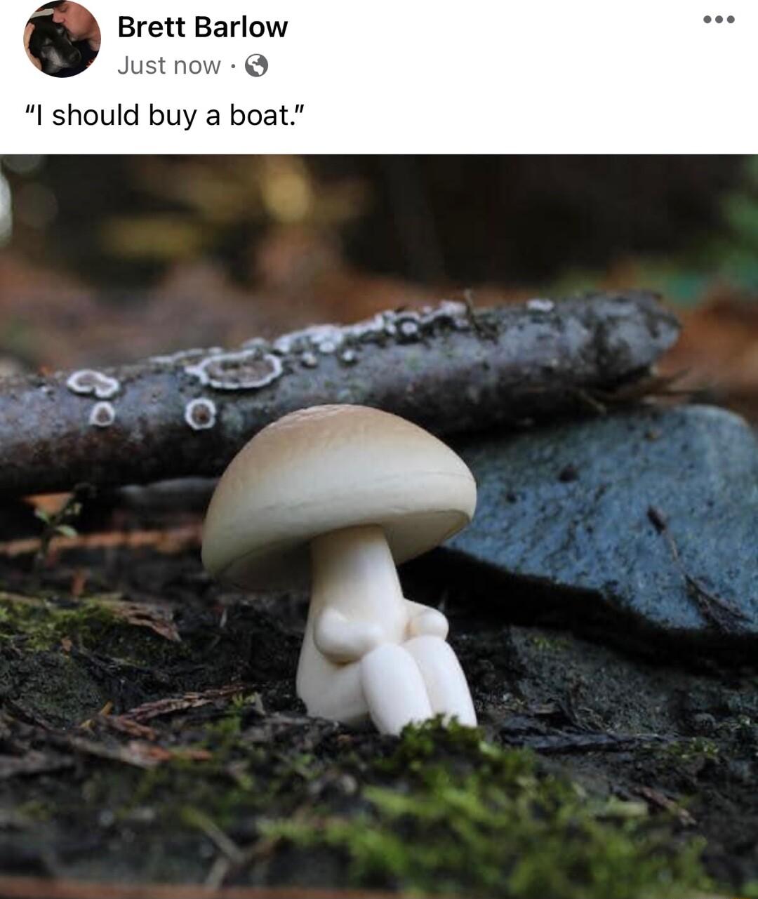 Brett Barlow Just now I should buy a boat