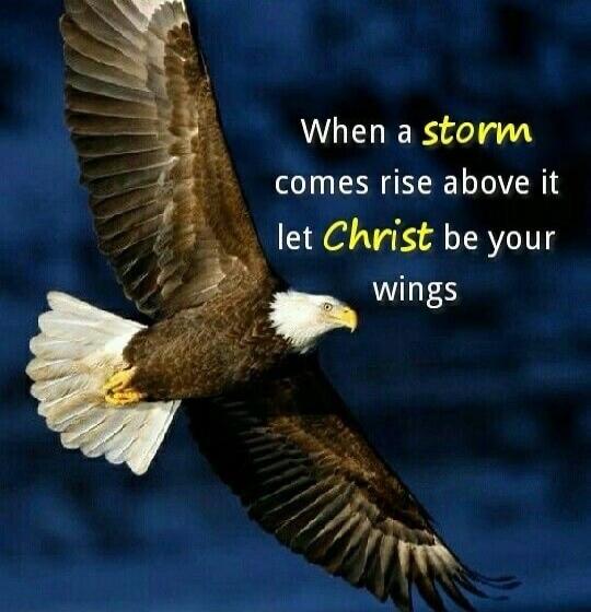 When a storm comes rise above it let Christ be your wings