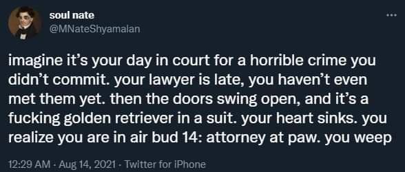 imagine its your day in court for a horrible crime you didnt commit your lawyer is late you havent even met them yet then the doors swing open and its a fucking golden retriever in a suit your heart sinks you realize you are in air bud 14 attorney at paw you weep 1 M Aug 14 2021 Twitter