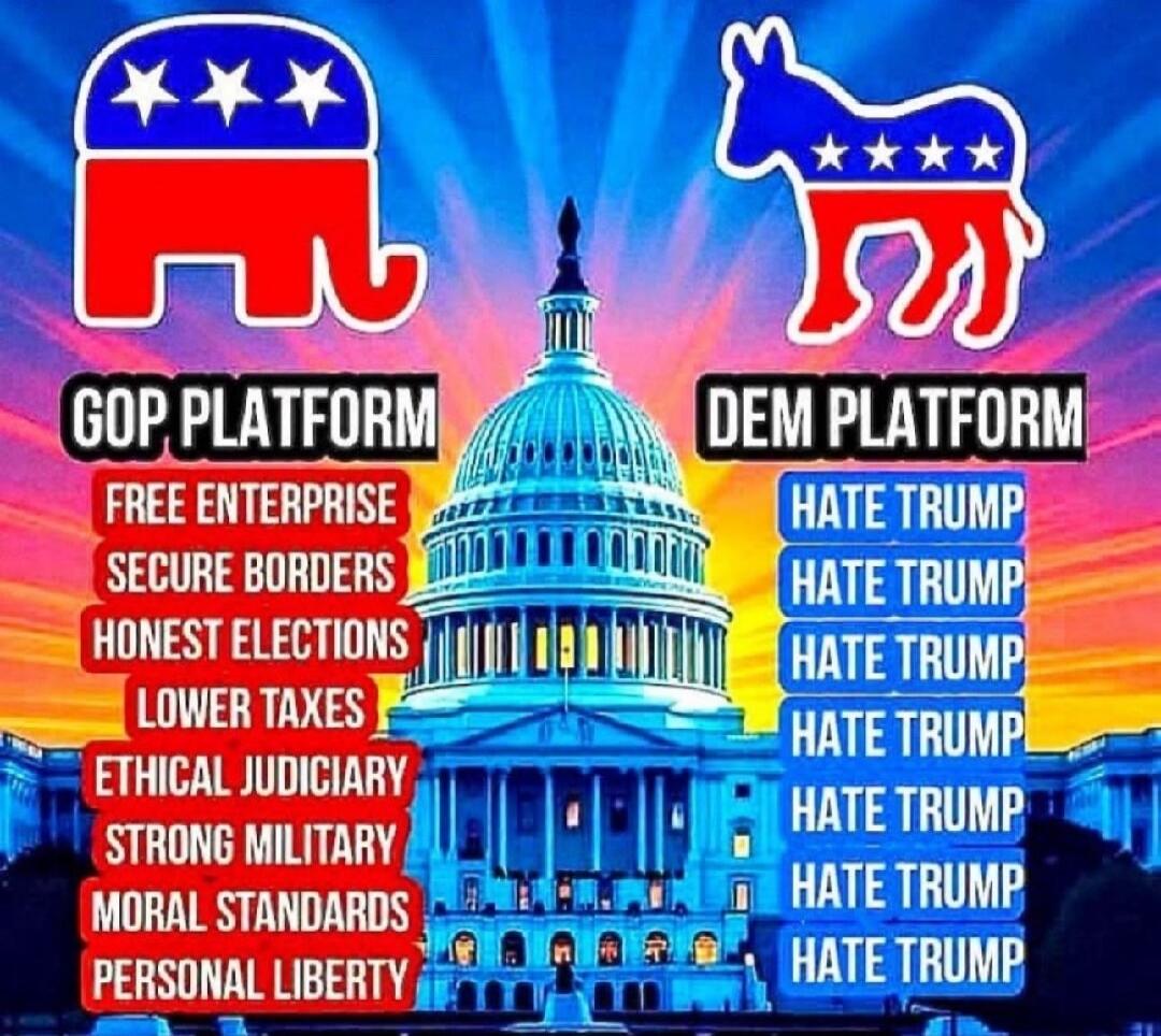 GOP PLATFORM: FREE ENTERPRISE, SECURE BORDERS, HONEST ELECTIONS, LOWER TAXES, ETHICAL JUDICIARY, STRONG MILITARY, MORAL STANDARDS, PERSONAL LIBERTY 
DEMOCRATIC PLATFORM: HATE TRUMP (repeated multiple times across bullet list)