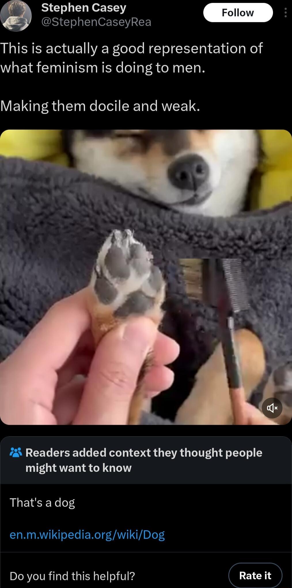 Stephen Casey StephenCaseyRea This is actually a good representation of what feminism is doing to men Making them docile and weak Readers added context they thought people might want to know Thats adog Do you find this helpful LEICHY