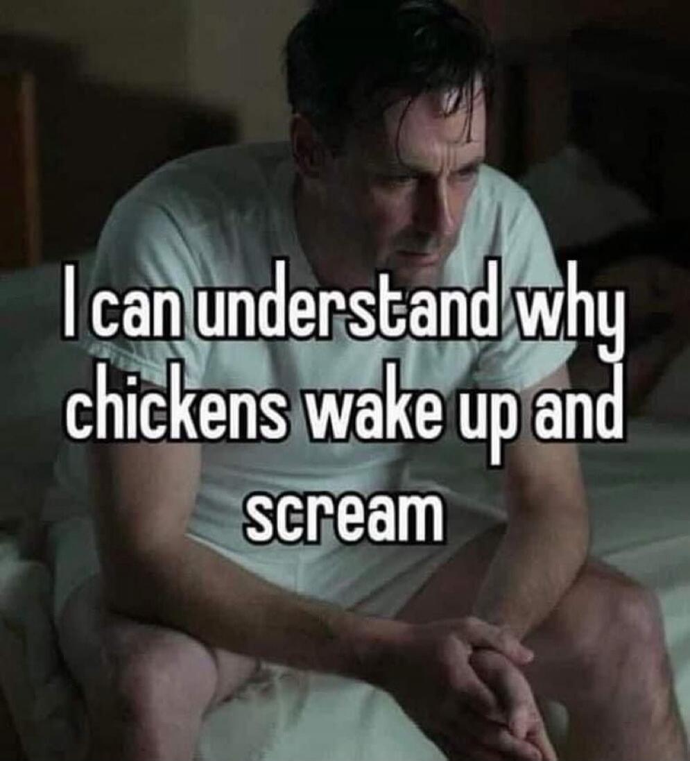 I can understand why chickens wake up and scream