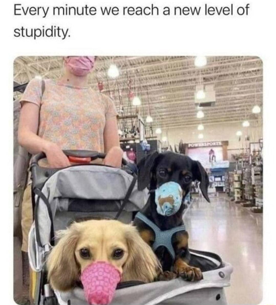 Every minute we reach a new level of stupidity