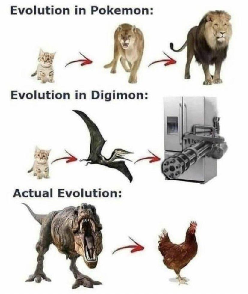 Evolution in Pokemon 4 4 Evolution in Digimon e Actual Evolution y